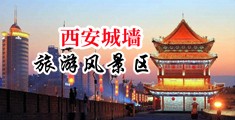 馒头逼视频无码中国陕西-西安城墙旅游风景区
